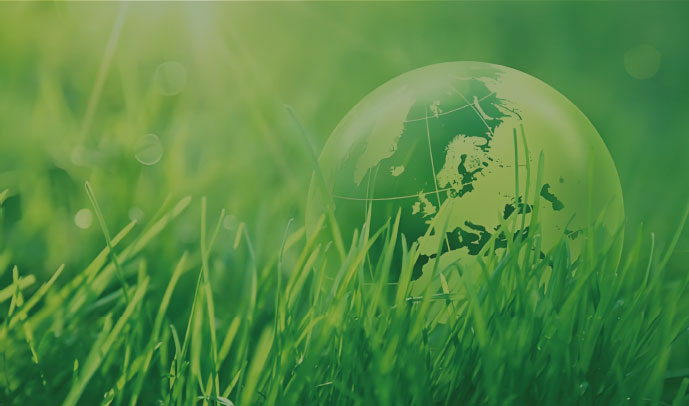 国内外双碳政策及趋势